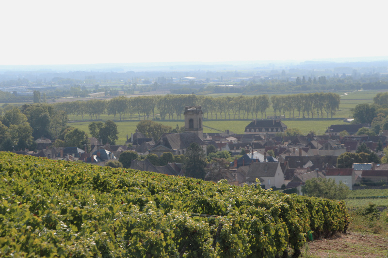 Vue village depuis vignes 2015.JPG